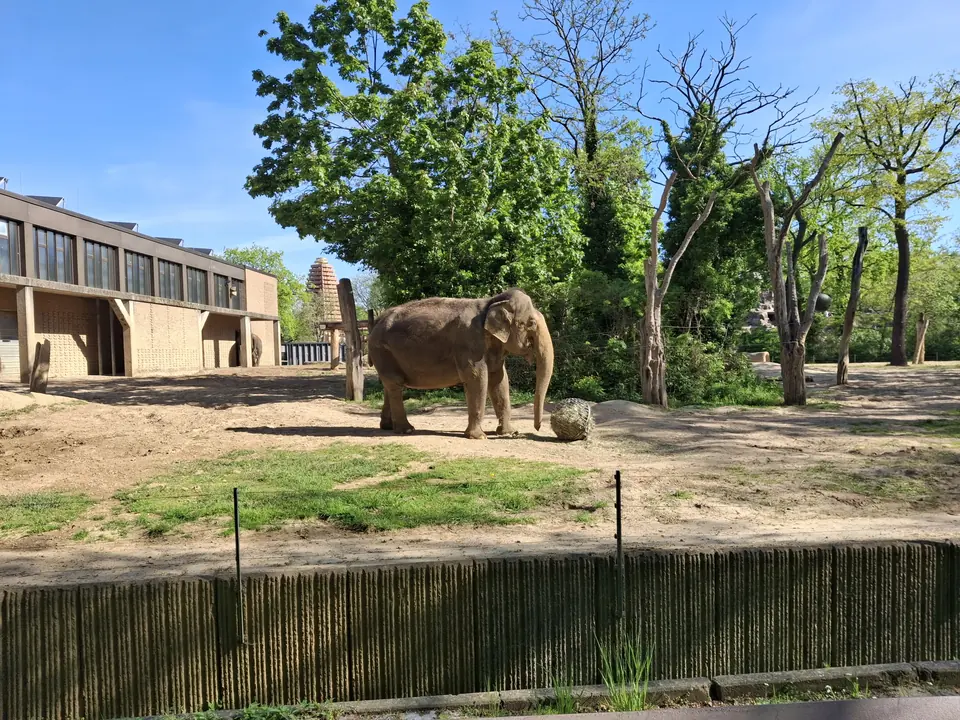 Berlin on May 3, 2026, media item 3